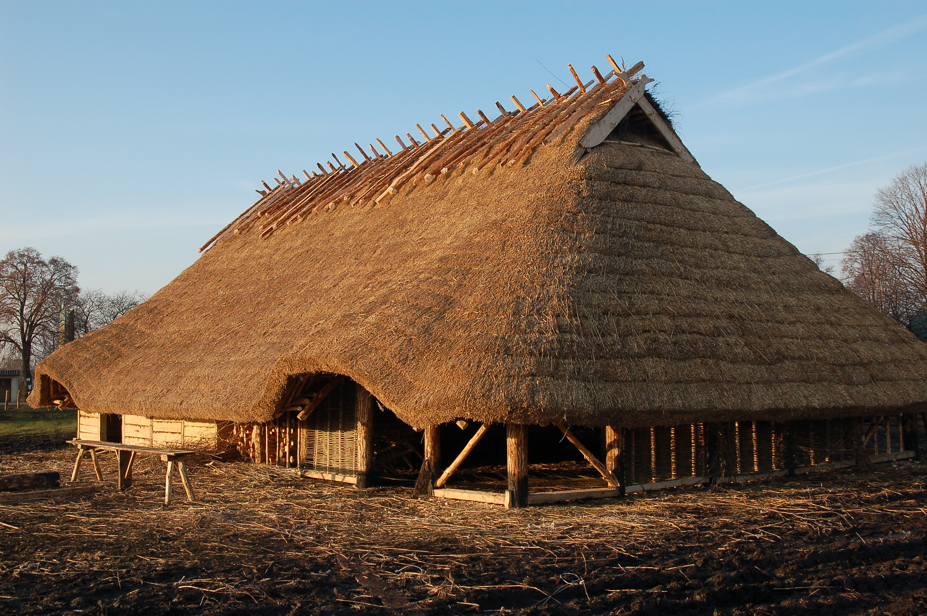 Photograph of a reconstructed Germanic longhouse with timber walls and thatched roof