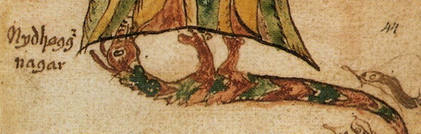Illustration of Nidhogg, a serpentine Norse dragon coiled around the roots of the world tree
