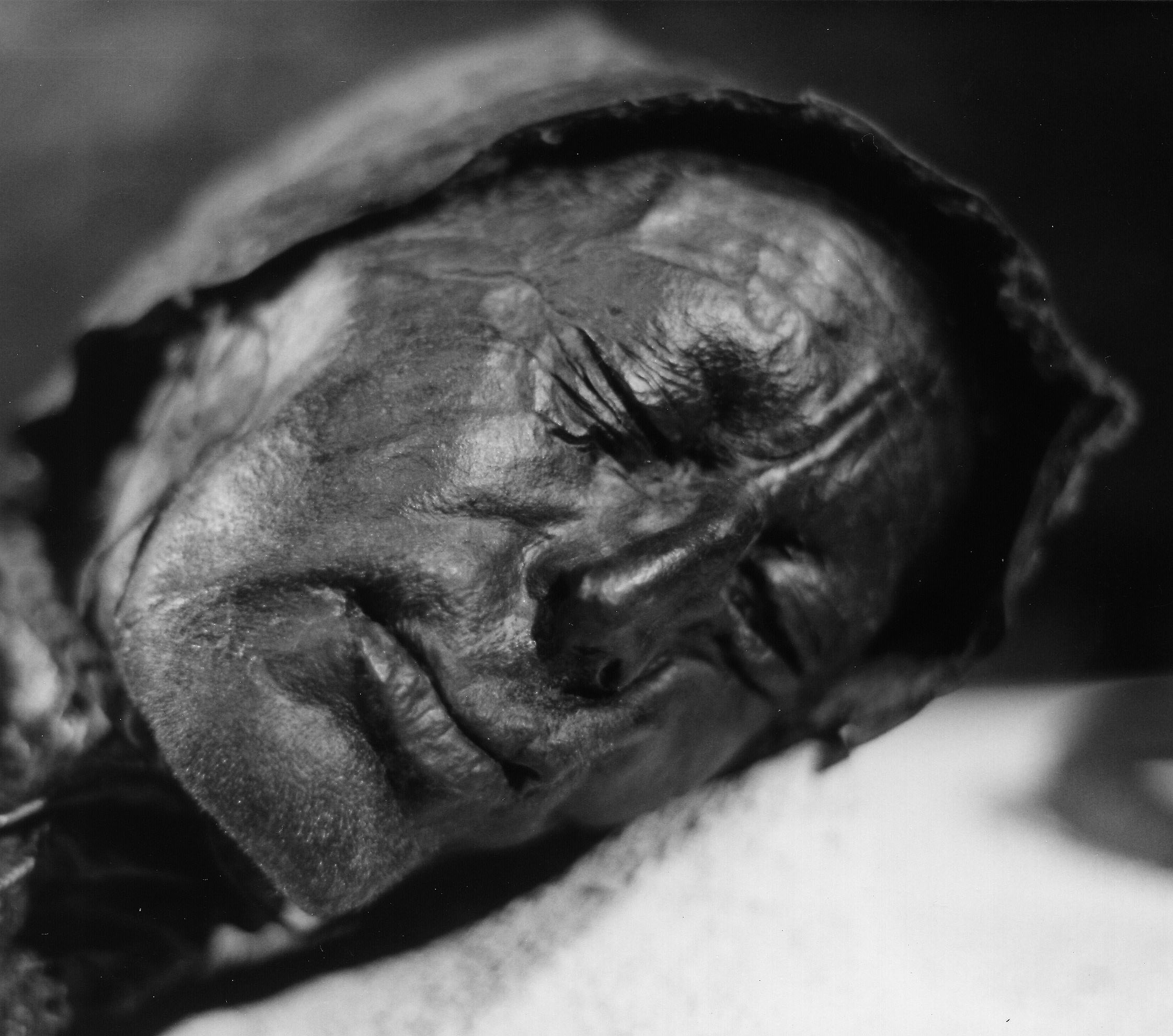 Photograph of the Tollund Man's preserved face and head emerging from dark bog peat